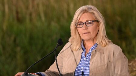 Liz Cheney pierde las primarias de Wyoming frente a Harriet Hageman, partidaria de Trump