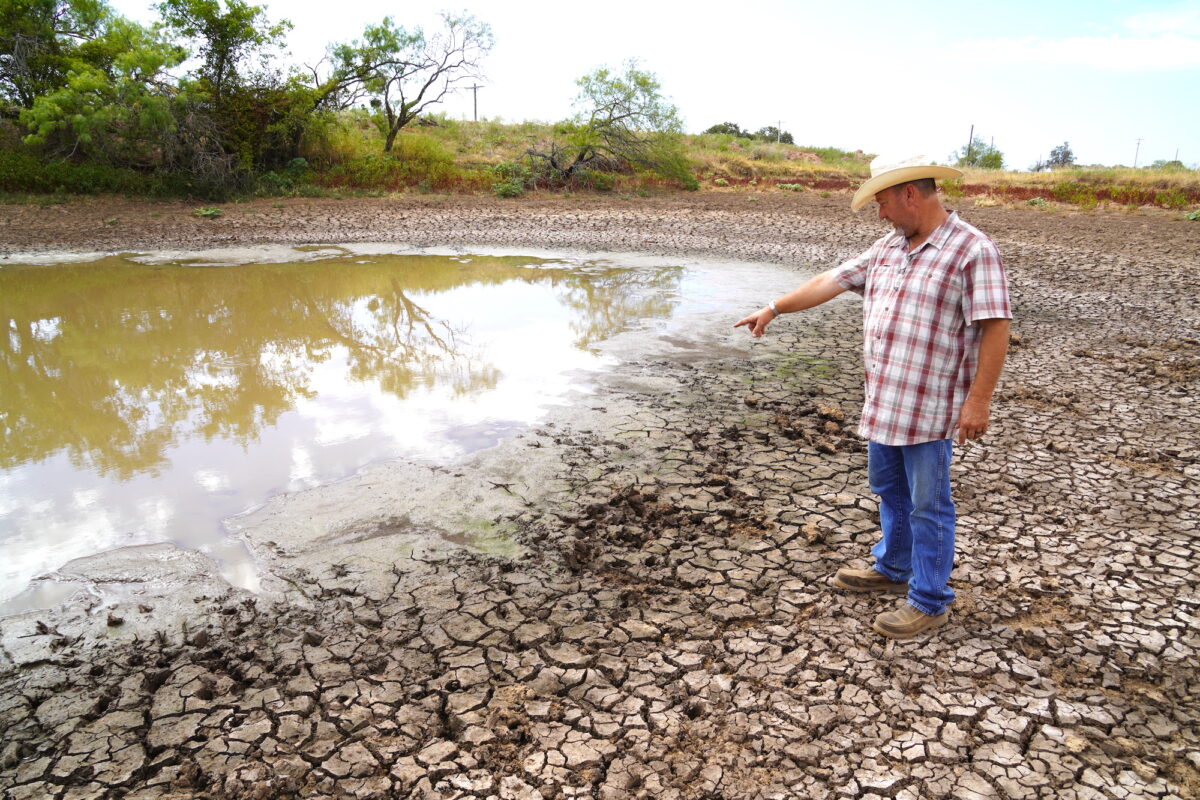 Los extraordinarios retos a los que se enfrentan los rancheros de Texas por la extrema sequía