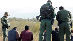 Migrantes camuflados a lo “Chewbacca” son descubiertos en Nuevo México