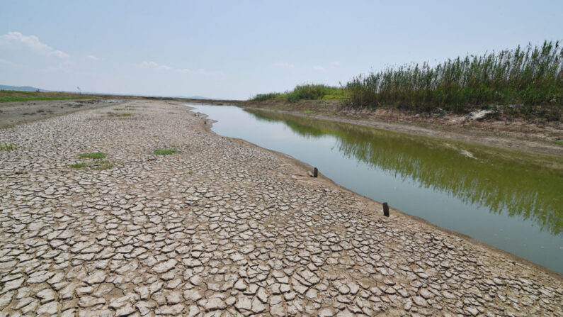 Esta foto tomada el 21 de agosto de 2022 muestra secciones secas de un lago en Nanjing, en la provincia oriental china de Jiangsu. (STR/AFP vía Getty Images)