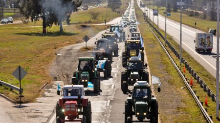 Agricultores argentinos luchan contra los agobiantes impuestos a la exportación