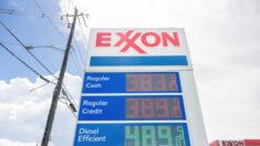 Se espera que los precios de la gasolina en EE.UU. vuelvan a subir, según Bank of America