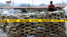 Toneladas de cocaína incautada en Panamá se incinerarán en EE.UU.