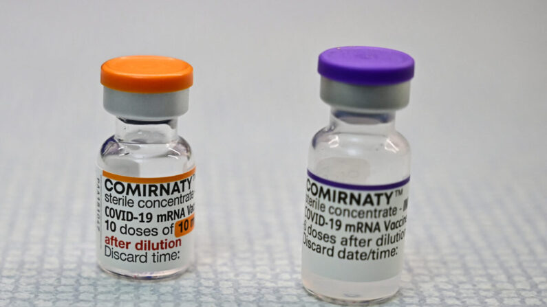 Viales de la vacuna COVID-19 con la marca Comirnaty en Berlín, Alemania, en una imagen de archivo. (Tobias Schwarz/AFP vía Getty Images)
