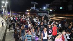 Sale nueva caravana con cerca de 1000 migrantes desde sur de México