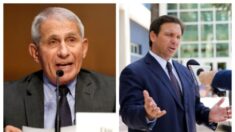 DeSantis pide un «ajuste de cuentas» de Fauci si los republicanos toman el control del Congreso