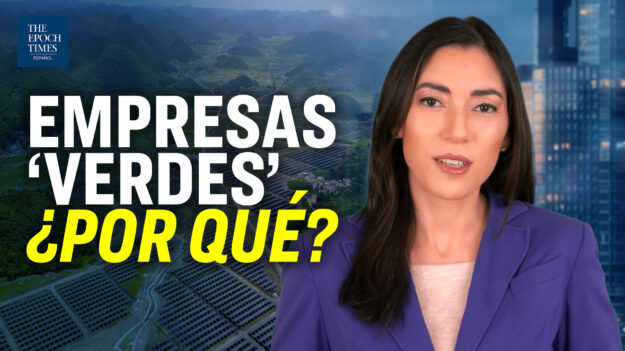 ¿Por qué en los últimos años las empresas internacionales ponen tanto énfasis en ser «verdes»?