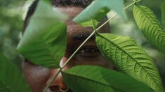 Muere «hombre del hoyo», último sobreviviente de una tribu aislada de Brasil