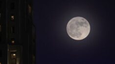 “Luna de esturión” es la última superluna del año, cómo verla para atraer suerte según el folclore