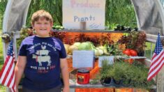 Niño que sueña con ser agricultor abre su propio puesto de plantas y productos