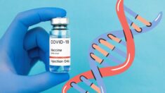 Pecado antigénico original: el peligro oculto de las vacunas COVID