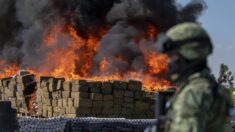 Ejército quema más de seis toneladas de droga en el norte de México
