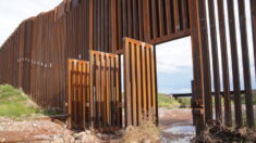 Puertas abiertas para evitar inundaciones resaltan deficiencias y brechas del muro de Arizona con México