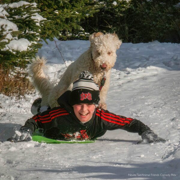 "Mientras estábamos en Canadá durante las Navidades nevó bastante. Al perro de nuestro nieto Bowen, Oscar, le encantaba correr por la nieve y cuando Bowen saltó sobre un trozo de plástico para deslizarse por la colina, Oscar saltó tras él y se subió a su espalda." (Cortesía de Neville Tait/Animal Friends Comedy Pets)