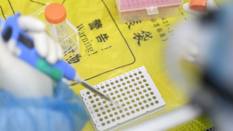 Foto tomada el 6 de febrero de 2020 muestra a un técnico de laboratorio que trabaja con muestras humanas que serán analizadas para detectar el nuevo coronavirus en el laboratorio "Fire Eye" de Wuhan, en la provincia central china de Hubei.  El laboratorio es parte de BGI Group, una empresa de secuenciación del genoma con sede en el sur de China. (STR/AFP a través de Getty Images)