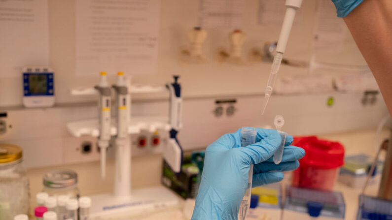 Un trabajador de laboratorio pipetea proteínas para medir su concentración mientras trabaja en la investigación de vacunas y proteínas en el Laboratorio Veesler de la Universidad de Washington el 10 de mayo de 2022 en Seattle, Washington. (David Ryder/Getty Images)