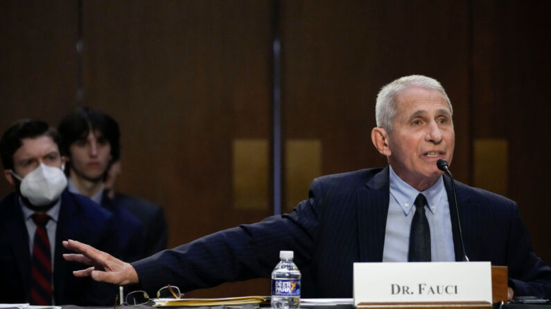 El Dr. Anthony Fauci, director de los Institutos Nacionales de Alergia y Enfermedades Infecciosas, testifica durante una audiencia del Comité del Senado sobre Salud, Educación, Trabajo y Pensiones sobre la respuesta federal a la viruela del mono, en el Capitolio el 14 de septiembre de 2022 en Washington, DC. (Drew Angerer/Getty Images)