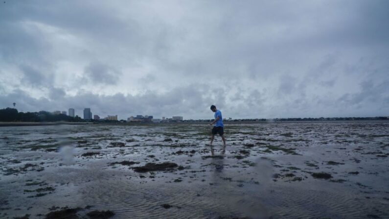 Un hombre camina a lo largo de las marismas mientras la marea retrocede desde la bahía de Tampa antes de que el huracán Ian toque tierra el 28 de septiembre de 2022 en Tampa, Florida. (Bryan R. Smith / AFP vía Getty Images)