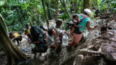 Redes sociales, el engaño que anima a miles de migrantes por la selva del Darién