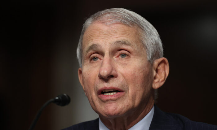 El director del Instituto Nacional de Alergias y Enfermedades Infecciosas, Anthony Fauci, declara ante el Comité de Salud, Educación, Trabajo y Pensiones del Senado sobre la respuesta en curso a la pandemia de COVID-19 en el Dirksen Senate Office Building en el Capitolio en Washington el 4 de noviembre de 2021. (Chip Somodevilla/Getty Images)