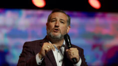 Ted Cruz llama a desfinanciar al “ejército de agentes del IRS de Biden”