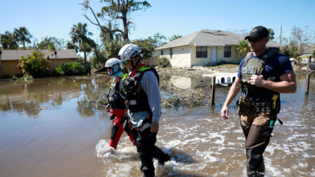 Funcionario de Florida advierte de un particular depredador que busca víctimas tras el huracán Ian