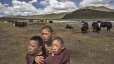 Gobierno tibetano en el exilio afirma que medidas cero-COVID del PCCh ponen en peligro vidas