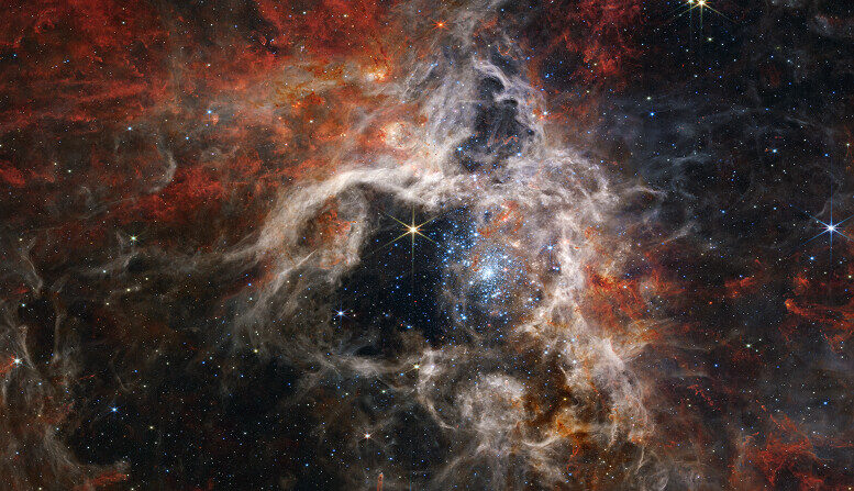 La cámara de infrarrojo cercano de Webb (NIRCam) muestra la región de formación estelar de la nebulosa de la Tarántula bajo una nueva luz, incluyendo decenas de miles de estrellas jóvenes nunca antes vistas y que anteriormente estaban envueltas en polvo cósmico. (NASA, ESA, CSA, STScI, equipo de producción de la ERO Webb)

