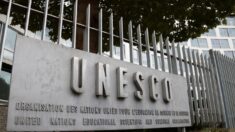 La Agencia de Educación de la ONU lanza una guerra contra las «teorías de la conspiración»