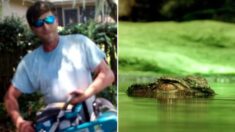 Hombre sobrevive tres días sin un brazo tras ataque de caimán