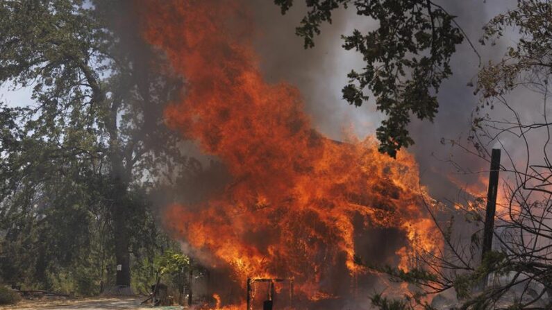 Por lo menos dos personas murieron y tres resultaron heridas a causa de un incendio forestal de rápida expansión que arrasó la comunidad de Weed, en California, informó este lunes The Weather Channel. EFE/EPA/Peter Da Silva 