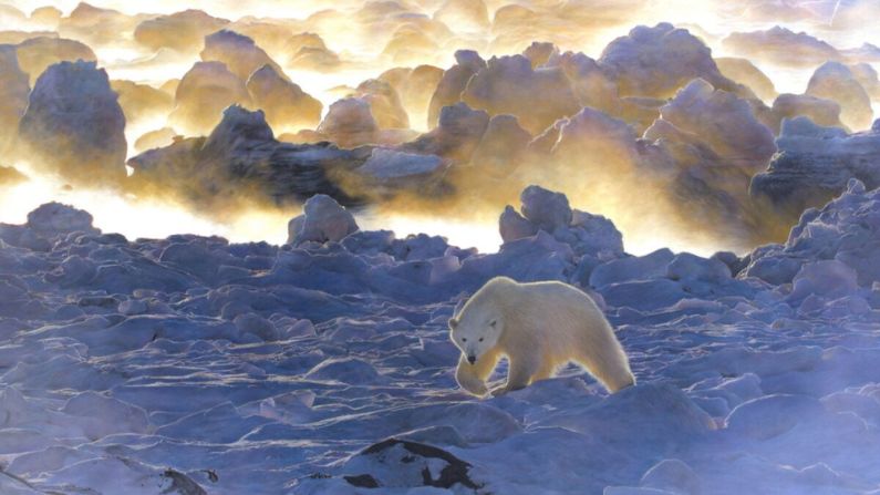 El artista de la vida salvaje Alex Fleming se mantiene fiel a la naturaleza en su arte. Está tan fascinado por la belleza de la naturaleza que no encuentra necesidad de embellecerla con arte imaginario. El dibujo a lápiz y pastel de Fleming "Home" (inspirado en la imagen del fotógrafo Rick Beldegreen "Polar Bear and Ice Fog") muestra al poderoso oso polar en medio de un vasto paisaje nevado que se extiende como nubes ondulantes a kilómetros de distancia. El oso polar parece ser consciente de que se le está observando, pero no es consciente de su casi extinción. Altamente recomendado en la categoría de Belleza Salvaje de la Tierra:" "Home" de Alex Fleming (Reino Unido). Dibujo en pastel y lápiz de color; 35 3/8 pulgadas por 23 5/8 pulgadas. (Cortesía de DSWF)
