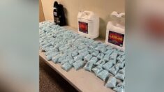 El fentanilo debe clasificarse como “arma de destrucción masiva”, dice Sheriff de Texas