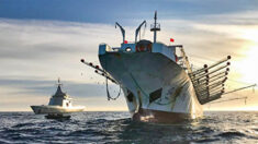Informe: Más de un tercio de los buques de pesca ilegal a nivel mundial son de bandera china