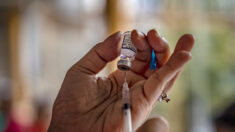 Vacunados tienen más riesgo de infección por COVID-19, dicen estudios