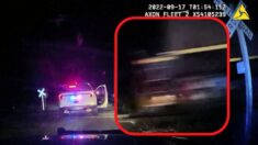 VIDEO: Tren choca contra patrulla de policía con una mujer esposada en su interior