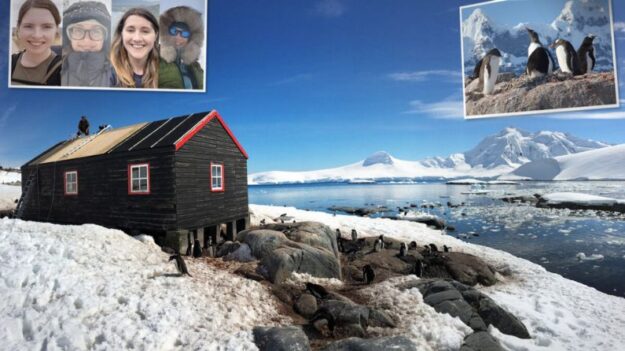 4 mujeres van a la Antártida a dirigir oficina de correos más remota del mundo y ¡a contar pingüinos!