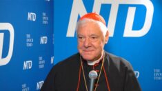 Cardenal Gerhard Müller: “La libertad religiosa es fundamental porque toca a la conciencia del hombre”