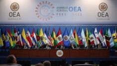OEA enviará una delegación a Perú que analice la situación del país