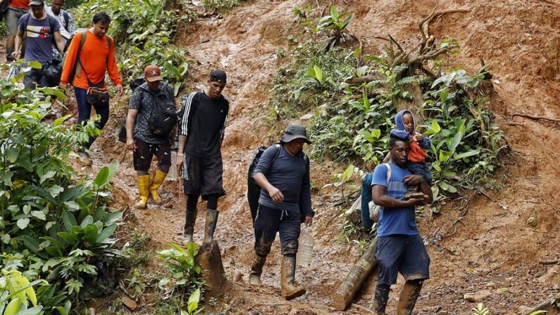 Migrantes caminan por una montaña con la intención de llegar a Panamá, el 8 de octubre de 2022, a través del Tapón del Darién (Colombia). EFE/Mauricio Dueñas Castañeda