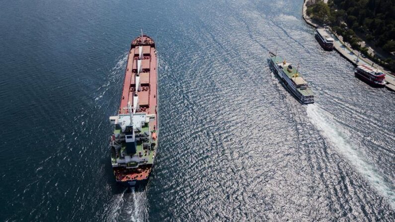 Una fotografía aérea muestra al carguero Razoni, con bandera de Sierra Leona, que partió del puerto de Odesa con el primer cargamento de cereales para la exportación, navegando por el Bósforo tras una inspección en Estambul, el 3 de agosto de 2022. EFE/EPA/Tolga Bozoglu