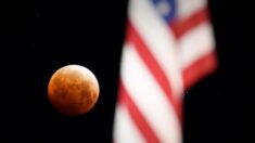 Eclipse lunar total ocurrirá el día de las elecciones de EE.UU. y no se repetirá hasta el año 2394
