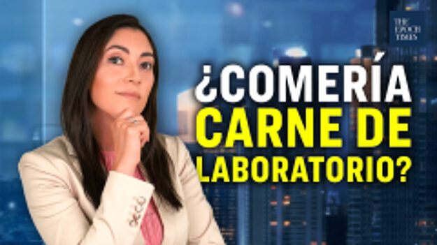 ¿Comería carne de laboratorio?