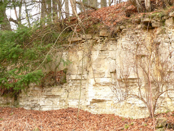 Una foto de archivo de una formación de roca caliza. (AxelHH/ Wikipedia)