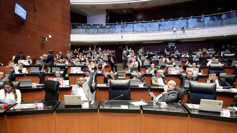 Fotografía cedida por el Senado de la República donde se observa a senadores durante una sesión ordinaria, en Ciudad de México (México). EFE/ Senado De La República