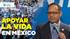 “Se necesita apoyar la vida en México”, dice Rodrigo Iván Cortés