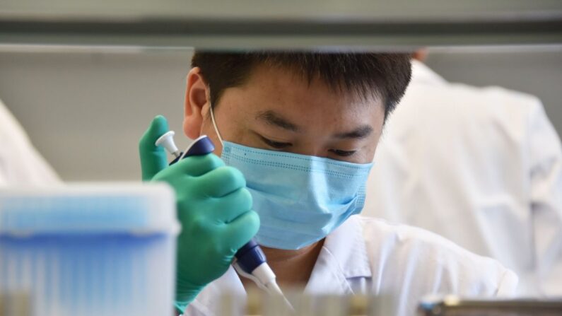 Un técnico trabaja en un laboratorio tecnológico de ADN en Beijing el 22 de agosto de 2018. (Greg Baker/AFP/Getty Images)
