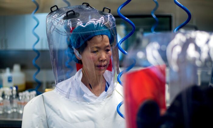 La viróloga china Shi Zhengli es vista dentro del laboratorio P4 en Wuhan, China, el 23 de febrero de 2017. (Johannes Eisele/AFP a través de Getty Images)