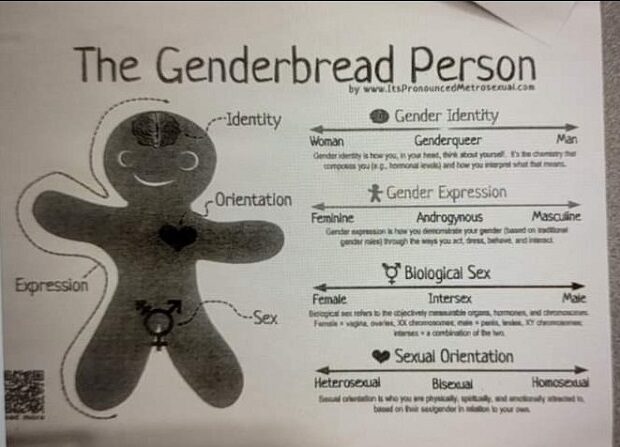 Una ilustración que anima a los niños a pensar en el género como un espectro fue distribuida por la preparatoria Gorham de Maine. (Cortesía de un alumno del instituto de Gorham)
