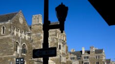 Juez critica la cultura de la cancelación en Yale y dice que no contratará abogados de esa Universidad